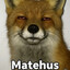 Matehus