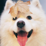 我还可以救一下