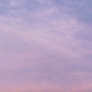 她是救赎也是遗憾