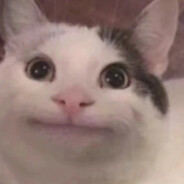 伯乐看见我直夸好马