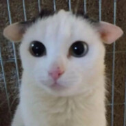 проблемы в сетях