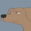 shifty eyed dog