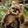 ewok