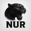 Nur