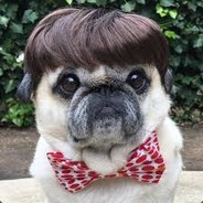 3 Quarters Soft's Avatar