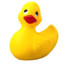 A Duck