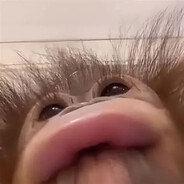 кончау's avatar