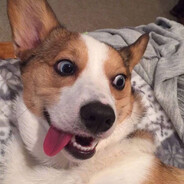 斗地主职业选手`