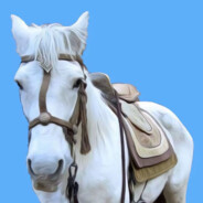 秒我我把电脑吃了