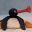 NOOT NOOT
