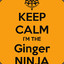 GingerNinja