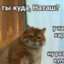 Троцкий