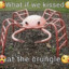 xXx&lt;Krab&gt;xXx