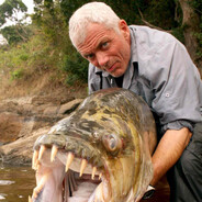 Jeremy Wade's avatar
