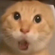 哈基米喔南北绿豆