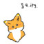 傻瘫橘猫