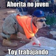 El Joven