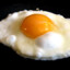 Fried Egg