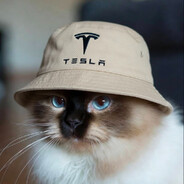 tesla guy