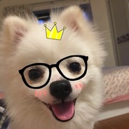 咫尺天涯叹永恒