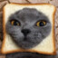 Artyom_PRO