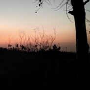 可惜海中月镜中花