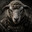 Major Sheep