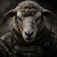 Major Sheep