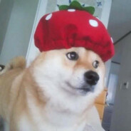 StrawBerrySWAG