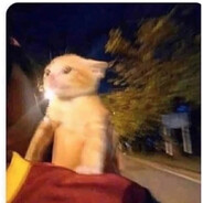 KUNGMAHULOGKAWALAAKONGKASALANAN