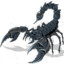 Black Scorpion