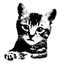 freymm's avatar