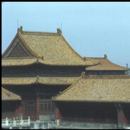 百万人该当庸医