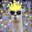 Llama King