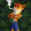 crash porro