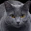 Leo_Stalin