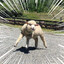 player-avatar
