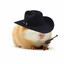 ЗлойХомяк's avatar