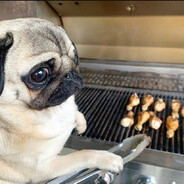 мистер модератор