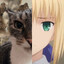 Steam avatar