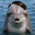 Adolphin