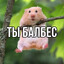 kill