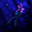 Acenthus's Avatar