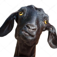 kambing hitam