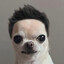 ddddddddddddddddddddddd.'s avatar