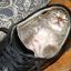 Catshoe