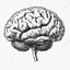 POGBA