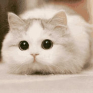 冷冥星空月无殇