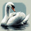 swan