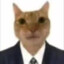 ORANGE CAT